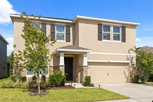 6764 Broad River Ave, Land O Lakes, FL 34638 - Photo 3