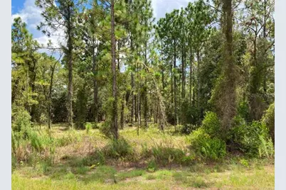Tbd SW Neptune Boulevard, Dunnellon, FL 34431 - Photo 1