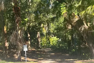 1315 E Central Blvd, Orlando, FL 32801 - Photo 9