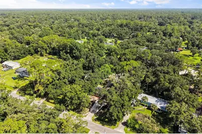 25046 Celestial Street, Christmas, FL 32709 - Photo 31