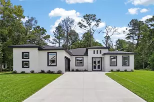 54 Douglas St, Homosassa, FL 34446 - Photo 1