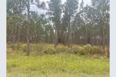30823 Satinleaf Run, Brooksville, FL 34602 - Photo 27