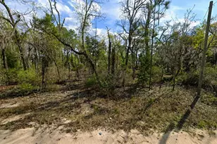 Claudia St, Interlachen, FL 32148 - Photo 1