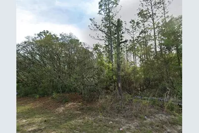 7745 N Maltese Drive, Citrus Springs, FL 34433 - Photo 1