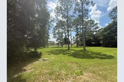 10636 Whitman Circle, Orlando, FL 32821 - Photo 3