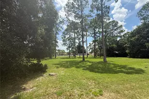 10636 Whitman Cir, Orlando, FL 32821 - Photo 3