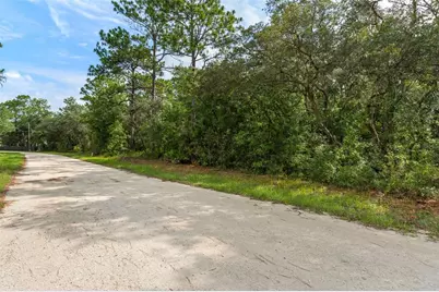 10497 Yellowlegs Avenue, Weeki Wachee, FL 34614 - Photo 9