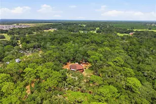 6850 Round Lake Rd, Mount Dora, FL 32757 - Photo 61