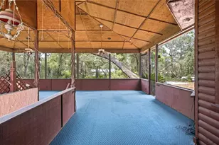 6850 Round Lake Rd, Mount Dora, FL 32757 - Photo 11