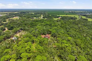 6850 Round Lake Rd, Mount Dora, FL 32757 - Photo 63