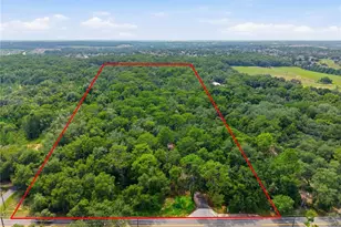 6850 Round Lake Rd, Mount Dora, FL 32757 - Photo 55