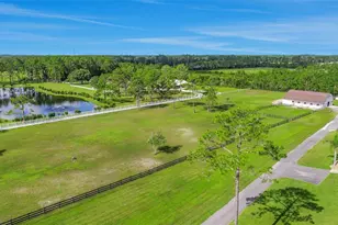 260 Spring Forest Dr, New Smyrna Beach, FL 32168 - Photo 77