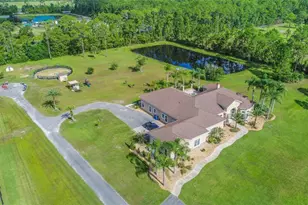 260 Spring Forest Dr, New Smyrna Beach, FL 32168 - Photo 67
