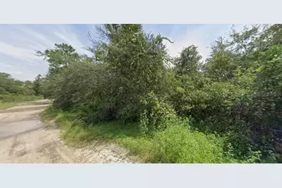Pine Valley Drive, Paisley, FL 32767 - Photo 5