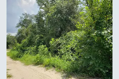 Pine Valley Drive, Paisley, FL 32767 - Photo 13
