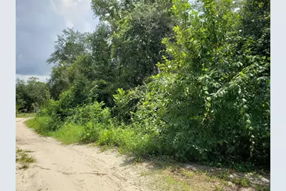 Pine Valley Drive, Paisley, FL 32767 - Photo 1