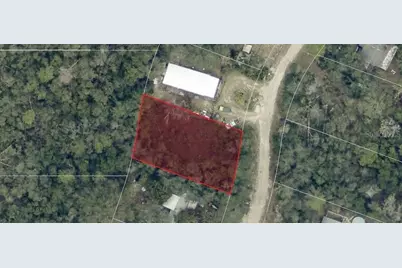 Pine Valley Drive, Paisley, FL 32767 - Photo 3