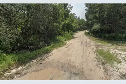 Pine Valley Drive, Paisley, FL 32767 - Photo 5