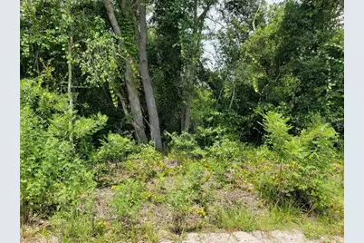 Pine Valley Drive, Paisley, FL 32767 - Photo 1