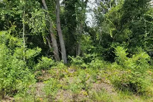 Pine Valley Dr, Paisley, FL 32767 - Photo 1