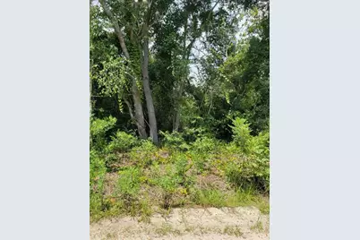 Pine Valley Drive, Paisley, FL 32767 - Photo 11