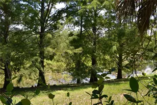 3832 Brandy St, Orlando, FL 32812 - Photo 31