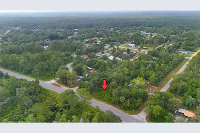 County Road 42, Paisley, FL 32767 - Photo 3