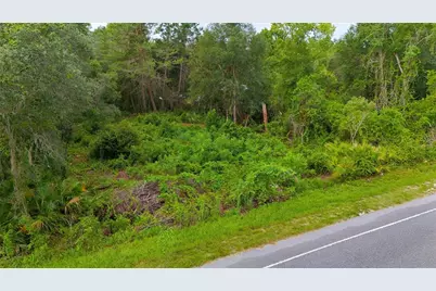County Road 42, Paisley, FL 32767 - Photo 7