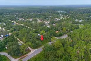 County Road 42, Paisley, FL 32767 - Photo 1