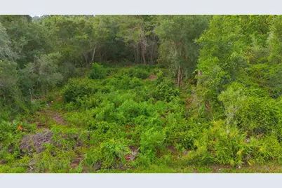County Road 42, Paisley, FL 32767 - Photo 5