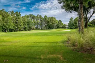 6719 Valhalla Way, Windermere, FL 34786 - Photo 37