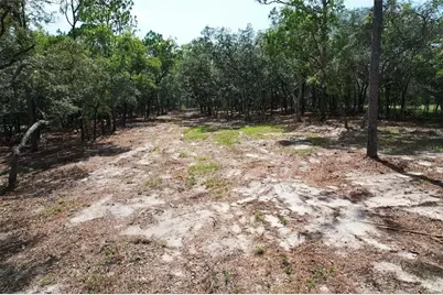 4546 S Evergreen Avenue, Homosassa, FL 34446 - Photo 3