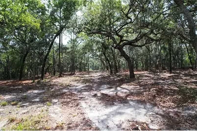4546 S Evergreen Avenue, Homosassa, FL 34446 - Photo 7