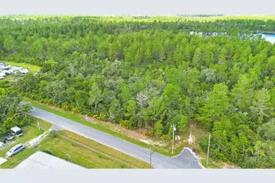 Georgia Street, Paisley, FL 32767 - Photo 5