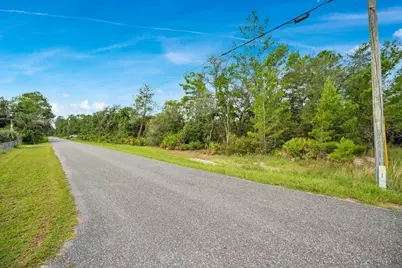 Georgia Street, Paisley, FL 32767 - Photo 3