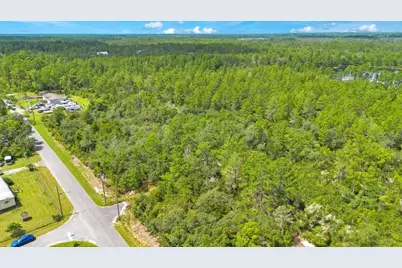 Georgia Street, Paisley, FL 32767 - Photo 15