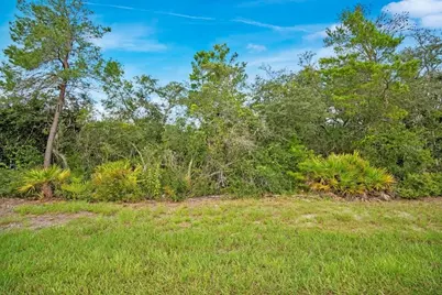 Georgia Street, Paisley, FL 32767 - Photo 1