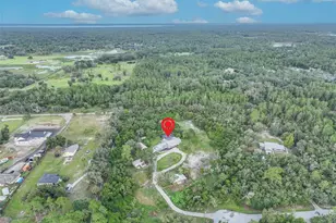 1690 Tallapoosa Dr, Geneva, FL 32732 - Photo 31