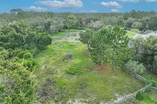 1690 Tallapoosa Dr, Geneva, FL 32732 - Photo 33