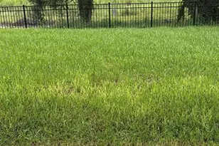 15075 Tea Tree Dr, Winter Garden, FL 34787 - Photo 7