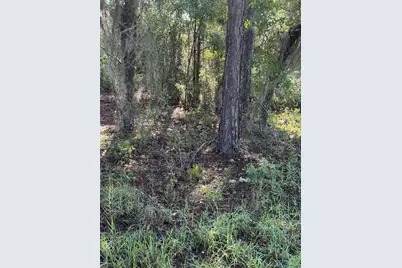 Alaska Avenue, Interlachen, FL 32148 - Photo 5