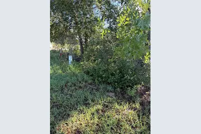 Alaska Avenue, Interlachen, FL 32148 - Photo 3