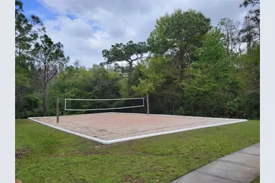 31404 Philmar Lane, Wesley Chapel, FL 33543 - Photo 25