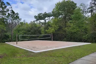 31404 Philmar Ln, Wesley Chapel, FL 33543 - Photo 25