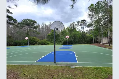 31404 Philmar Lane, Wesley Chapel, FL 33543 - Photo 23