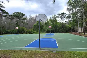 31404 Philmar Ln, Wesley Chapel, FL 33543 - Photo 23