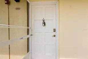 101 N Grandview St, Mount Dora, FL 32757 - Photo 11
