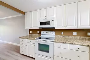 101 N Grandview St, Mount Dora, FL 32757 - Photo 25