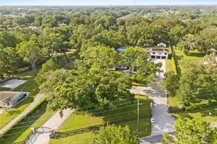 900 W Plant St, Winter Garden, FL 34787 - Photo 91