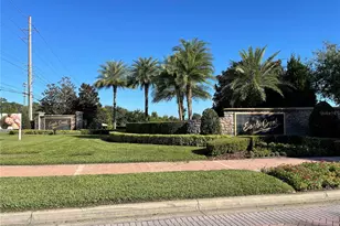 14018 Budworth Cir, Orlando, FL 32832 - Photo 71